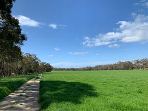 More photos and videos - Sep 2020