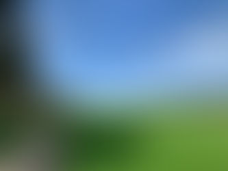 More photos and videos - Sep 2020