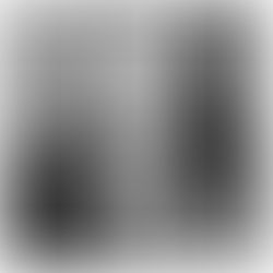 African American and Labor A. Philip Randolph