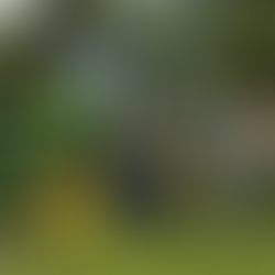 MSU Ag and Forestry Dept. to Host Agronomy Day Camp