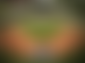 ECCC Baseball to Compete in NJCAA Baseball Tourney