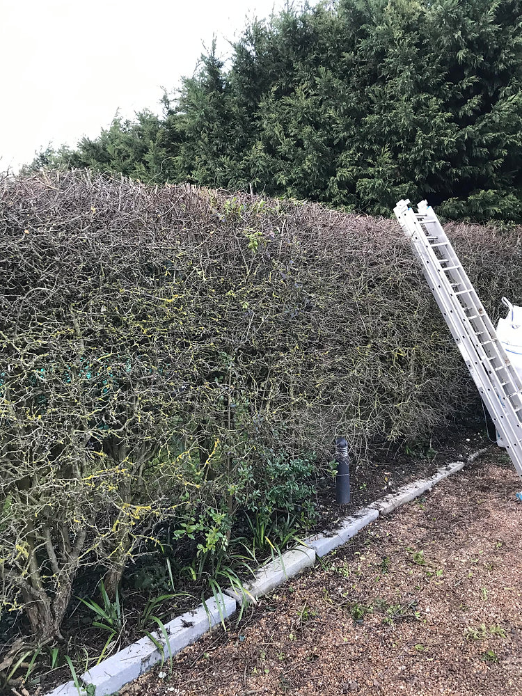How Much Does It Cost To Clear A Garden How Much Does It Cost To Clear A Garden