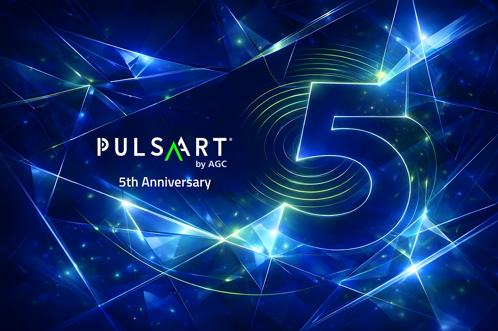 5th anniversary of Pulsaart