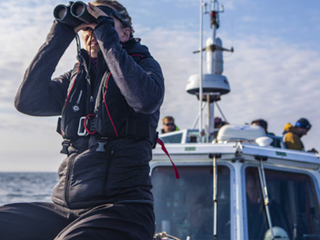 John Giddings And Solo Music Agency Join Forces With University of Exeter To Back Groundbreaking Isle Of Wight Shark Study