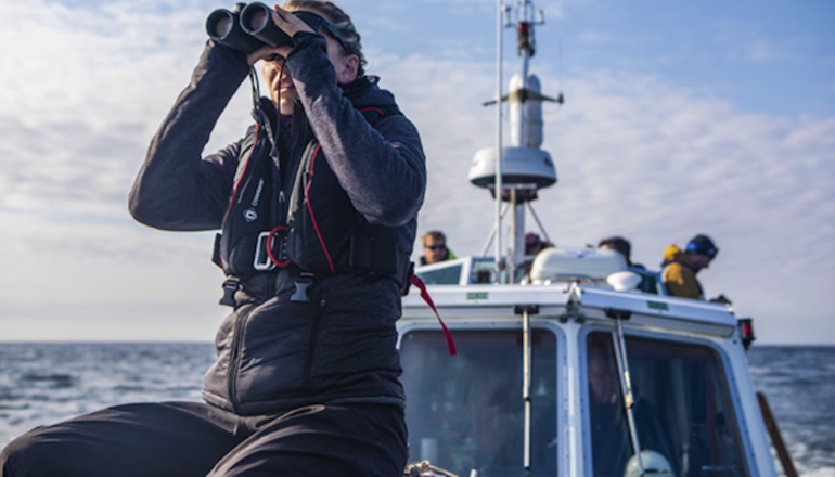 John Giddings And Solo Music Agency Join Forces With University of Exeter To Back Groundbreaking Isle Of Wight Shark Study