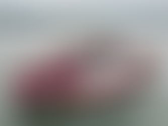 Red Funnel Pledges Red-And-White Tribute If Saints Reach FA Cup Final