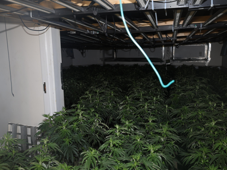 Men Charged After Cannabis Factories Discovered In Portslade