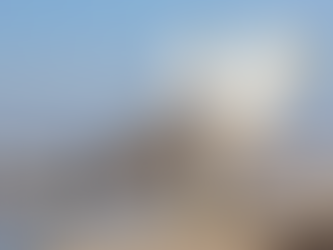 Worthing Residents Could Face Fines For Feeding Wildlife