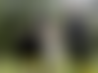 Fears For Young People’s Mental Health Support As Funding Stalls In Sussex