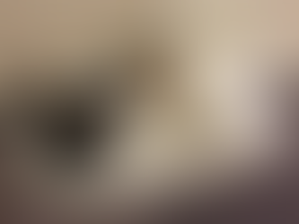 Fundraiser Launched After Lake Flat Fire Claims Lives Of Beloved Pets