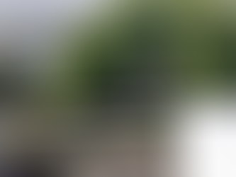 Concerns Raised Over Plans To Convert Milking Parlour Near Blackgang