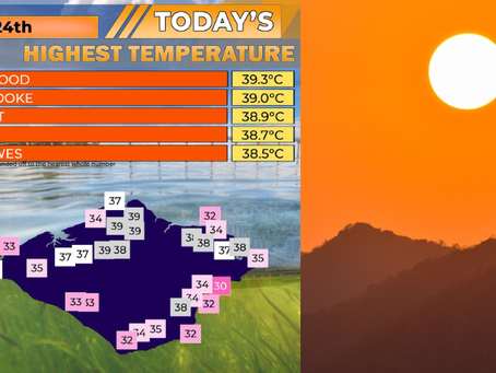Weather Experts Verify Isle Of Wight's Record-Breaking Heat Readings