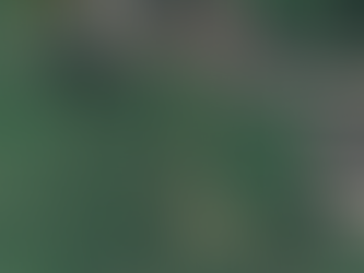 Controversial Wellow Housing Plans Set for Decision at County Hall