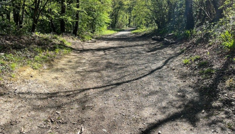 Resurfacing Work Planned For Popular Island Route