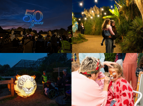 Wildheart Animal Sanctuary Raises Almost ÂŁ27,000 At 50th Anniversary Celebrations
