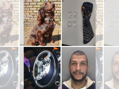 Police Dog Helps Uncover Hidden Drugs Stash After A272 Stop