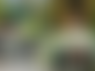 Countdown Underway To The Great Isle Of Wight Dog Walk