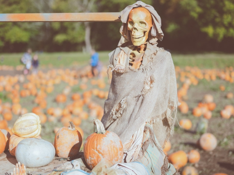 Sussex Events Guide — October 2025