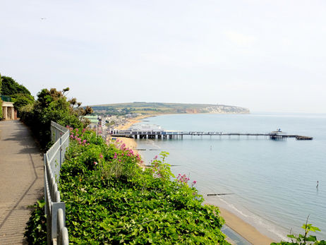 £15,000 Funding Boost For Proposed Sandown Biosphere Centre