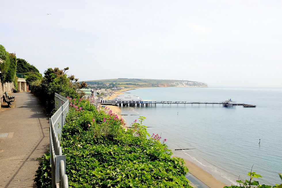 £15,000 Funding Boost For Proposed Sandown Biosphere Centre