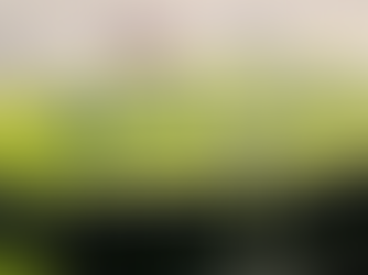 Man Arrested After Two Officers Assaulted Near Bognor Regis