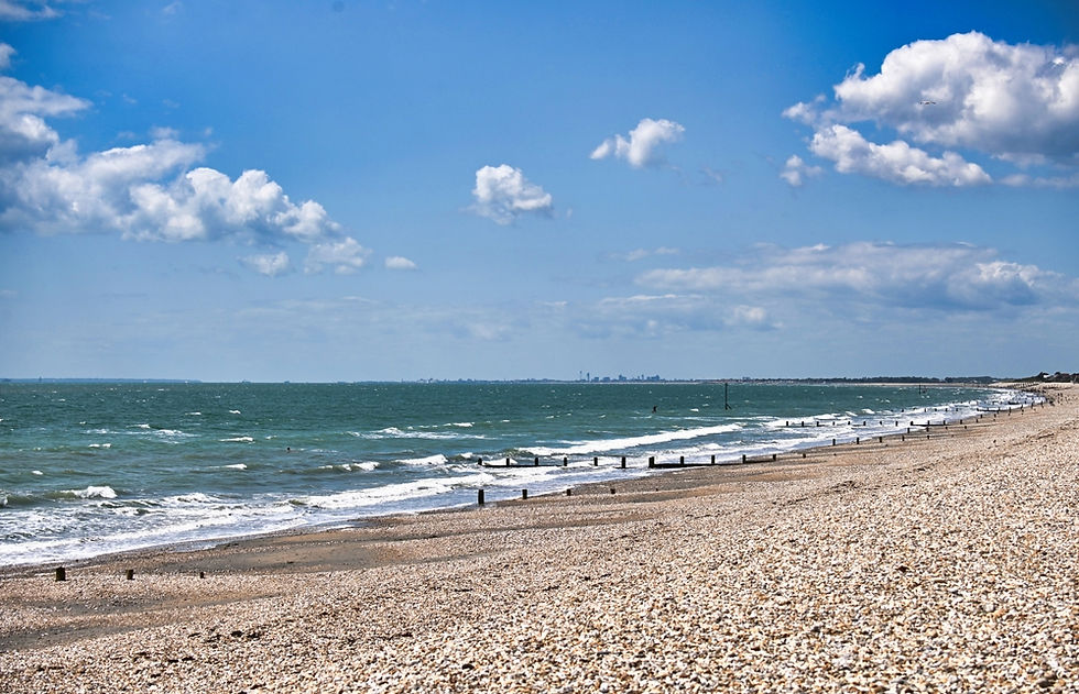 Clean-Up Of Millions Of Plastic Pellets Resumes On East Sussex Beaches