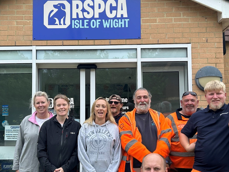 Island Roads Team Lends A Helping Hand At RSPCA Animal Centre