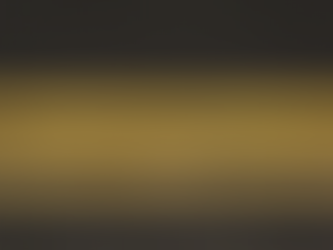 Decision On Gunville Double Yellow Lines Deferred