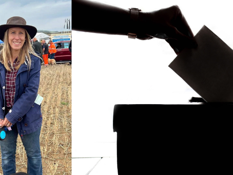 Three Candidates Contest Chale, Niton And Shorwell Seat In Upcoming Council Elections