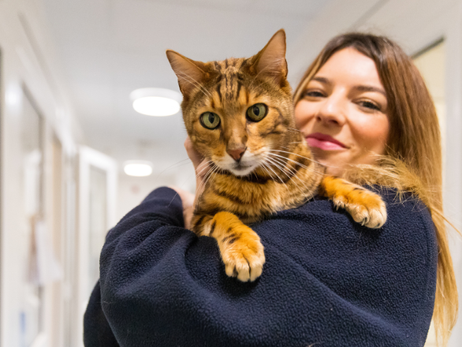 Free RSPCA Welfare Clinics Offered For Isle Of Wight Pets