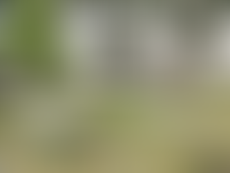 Floral Clock In Hove Could Be Replaced By Sundial Following Public Consultation