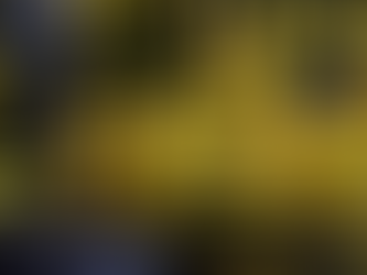 Yarmouth Annual Duck Race and Easter Bonnet Competition Returns This April