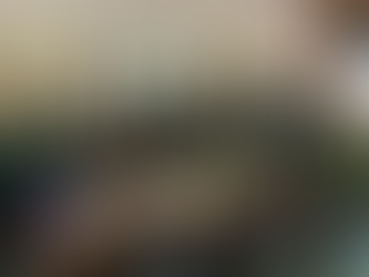 Nettlestone Primary Pupils Discover How Island Democracy Works