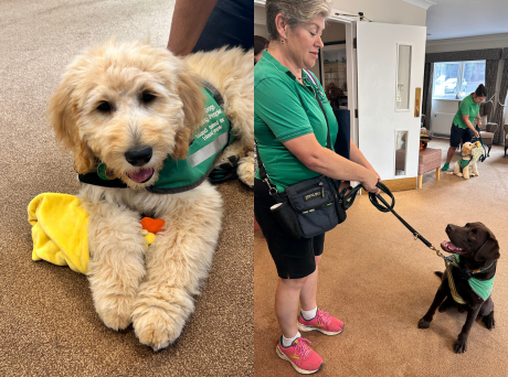 Orchard House Sponsors Puppy Training To Become Therapy Dog