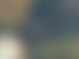 Seven Traveller Pitches Approved In Westbourne Despite Objections