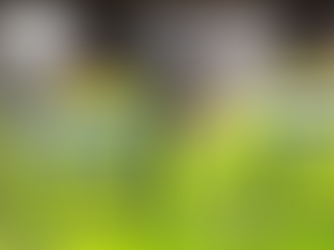 Worthing Man charged With Multiple Child Sex Offences