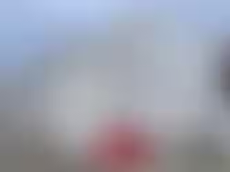 Ventnor Community Sets Up Steering Group To Look At Future Of Winter Gardens