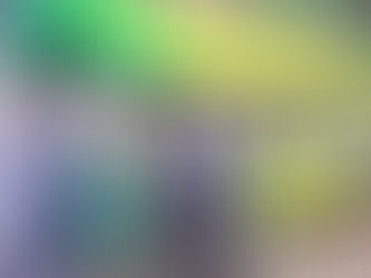 Southern Vectis Unveils New Electric Bus Fleet