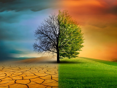 Climate Emergency Could Be Redeclared On Isle Of Wight