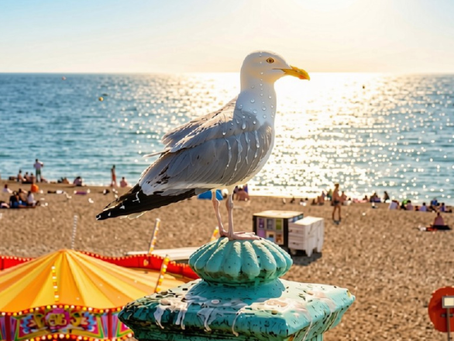 Amber Heat Health Alert Issued Across South East As Temperatures Set To Climb