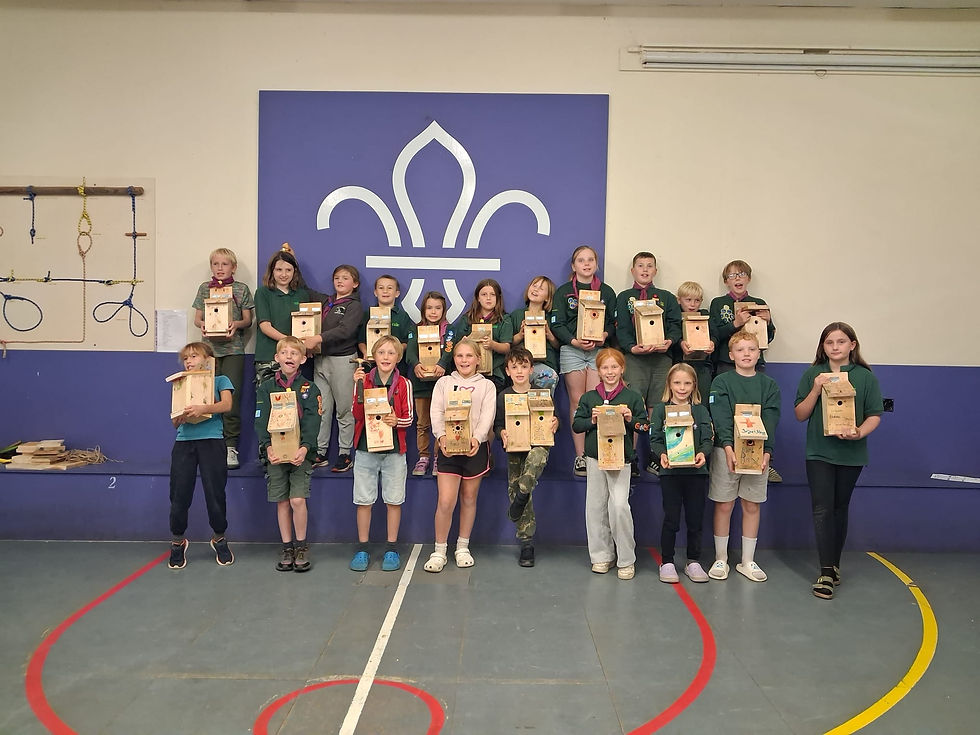 Godshill Scouts Build 75 Bird Boxes To Help Local Wildlife