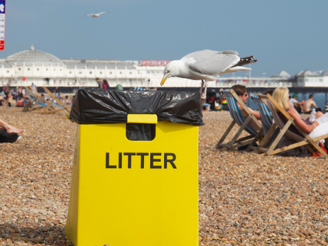 Brighton Residents To Get Weekly Food Waste Collections
