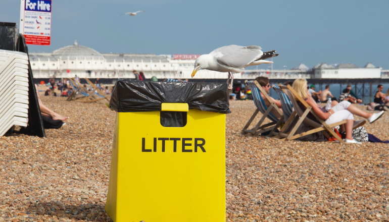 Brighton Residents To Get Weekly Food Waste Collections