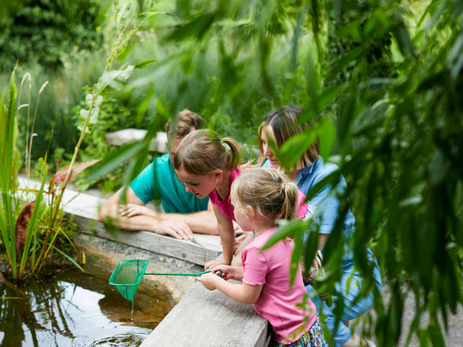 Dragonfly Festival Returns To WWT Arundel This Summer