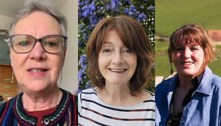 Four Candidates Standing In Freshwater South Election