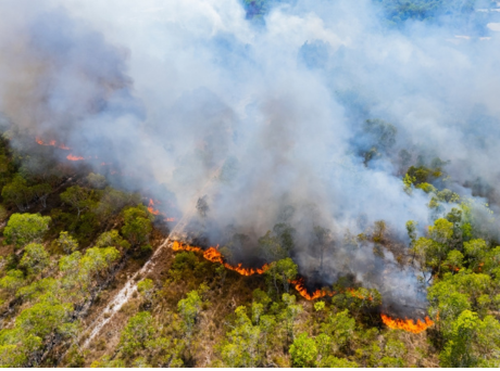 Horsham Fires Under Control As Wildfire Warning Issued
