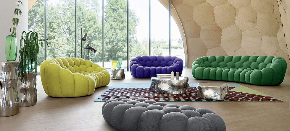 magnifique salon-roche bobois.JPG