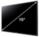 Samsung DM75E 75 Inch LED Screen