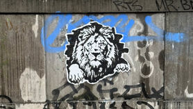 Our Collaboration with Street Cyber