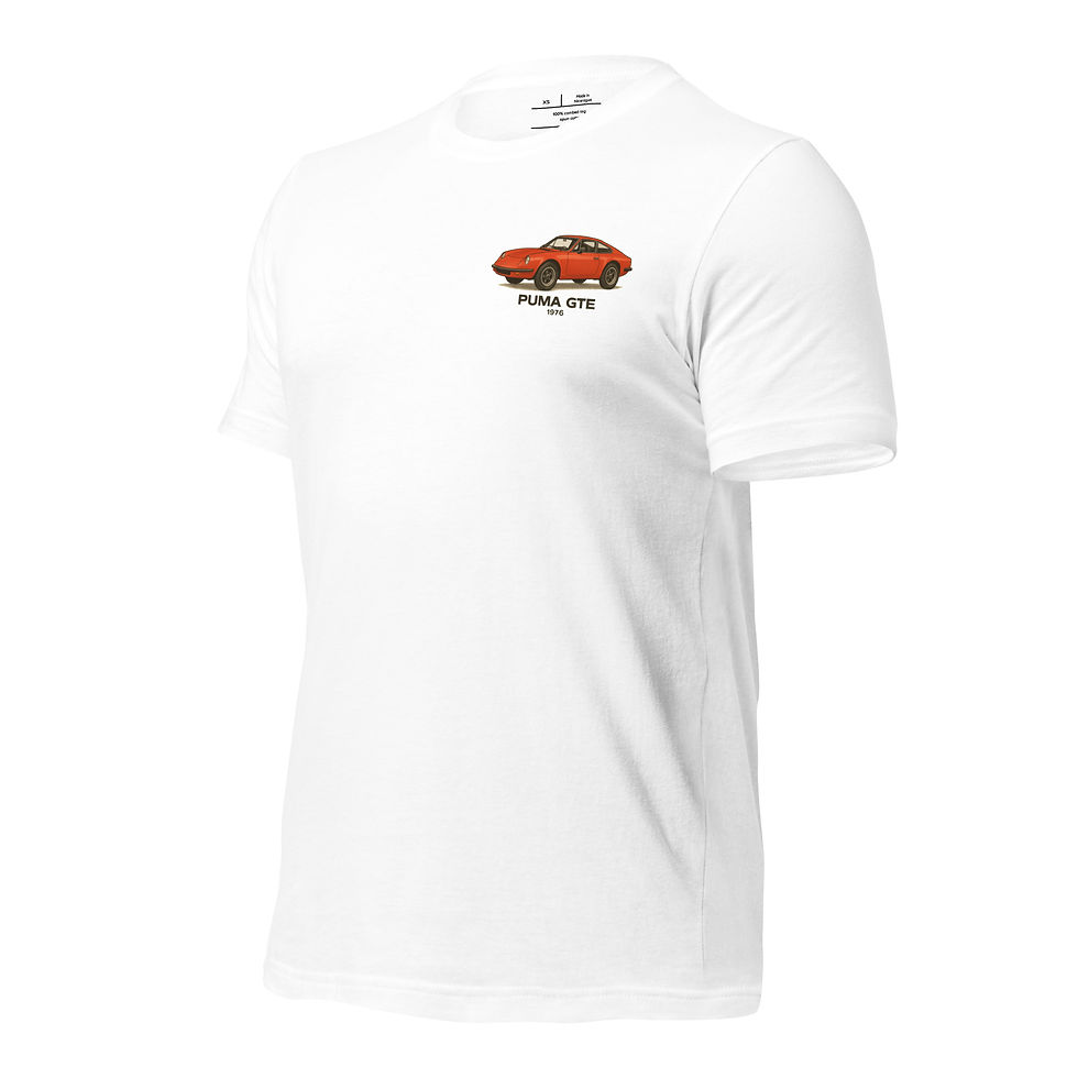 Miniatura: Puma GTE 1976 - Raiz Nacional